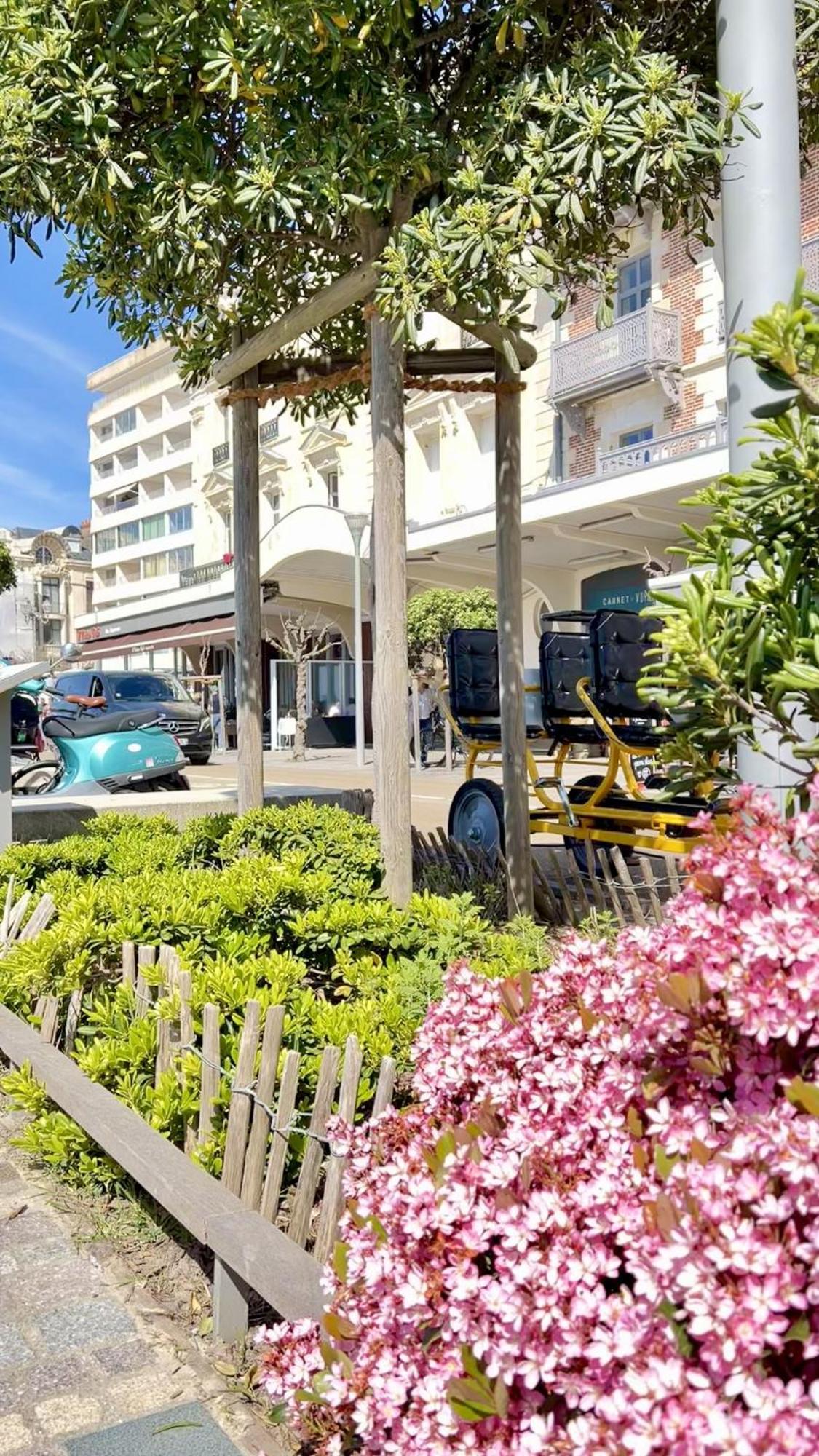 Appartement Remblai 1 Chambre Sortie Direct Plage 莱萨布勒-多洛讷 外观 照片
